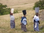 African Women carrying water as well as babies on their backs in South Africa